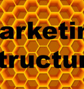 Outsider-Marketing-Structure